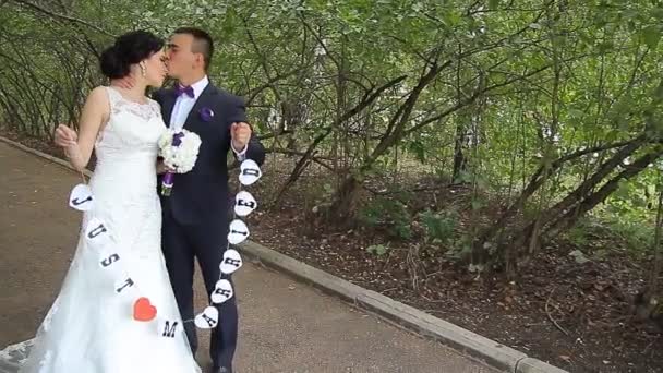 Braut und Bräutigam gehen im Sommerpark weg - Filmmaterial, Video