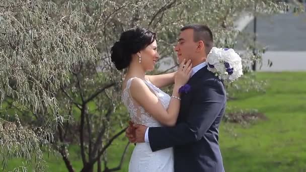 Ženich a nevěsta odchází v letním parku - Záběry, video