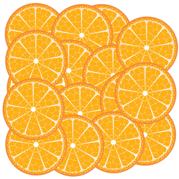 Zitrusfrüchte, Orangen, Zitronen, Limetten, Grapefruits - Vektor, Bild