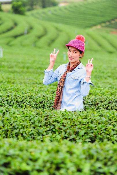 Asia gyönyörű nő szedés tea levelek, a tea ültetvény, hap - Fotó, kép