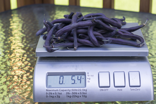 Organic Purple Green Beans On Produce Scale - Photo, Image