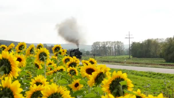 Blick auf die Dampflokomotive - Filmmaterial, Video