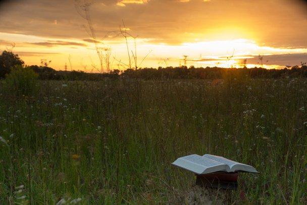 Gebundene Bücherbibel gegen Sonnenuntergang geöffnet - Foto, Bild