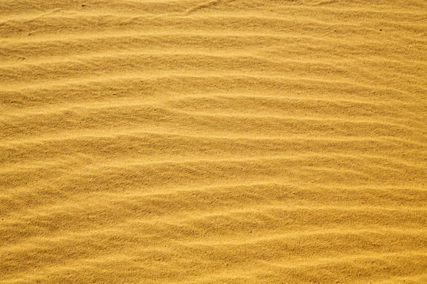Африка коричнева піщана дюна в
    - Фото, зображення