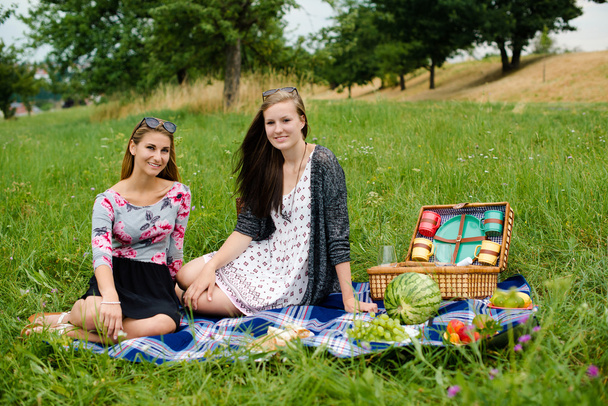 Arkadaşlarım piknik - Fotoğraf, Görsel