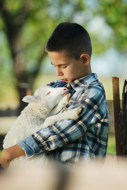 boy with lamb on the farm - Фото, зображення