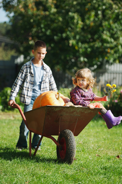 Mädchen und Junge mit Kürbissen im Garten - Foto, Bild