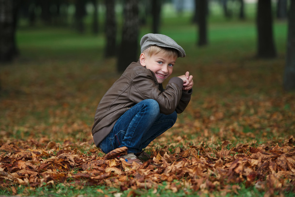 little funny boy in autumn leaves portrait - 写真・画像