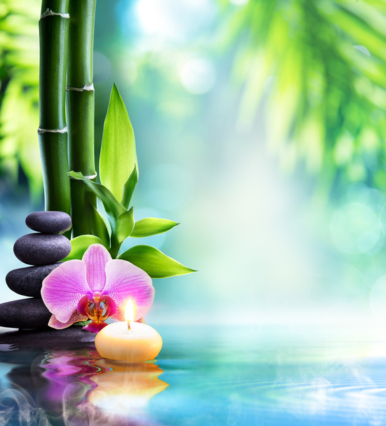 spa still life - candle and stone with bamboo in nature on water - Photo, Image