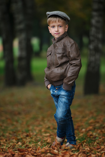 little funny boy in autumn leaves portrait - Foto, imagen