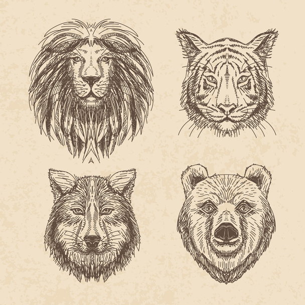 Vector set of hand drawn animal. Vintage illustration with wolf, - Vector, Image