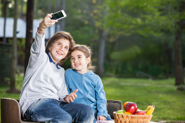 Siblings Taking Selfportrait Through Smartphone At Campsite - Fotografie, Obrázek