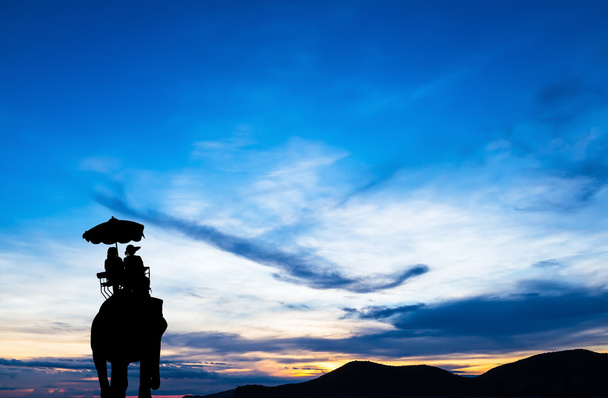 gün batımında turist filli siluet - Fotoğraf, Görsel