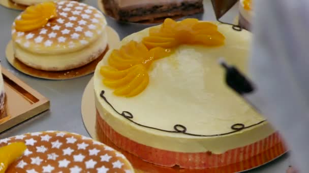 Bäcker setzt Sahnehäubchen auf Schokoladenkuchen in Fabrik - Filmmaterial, Video
