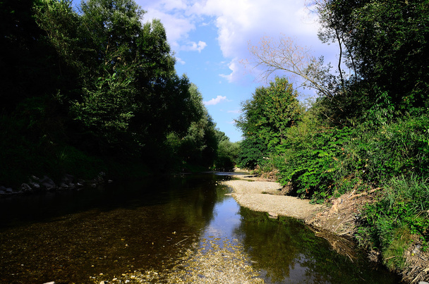 belo riacho no verão
 - Foto, Imagem