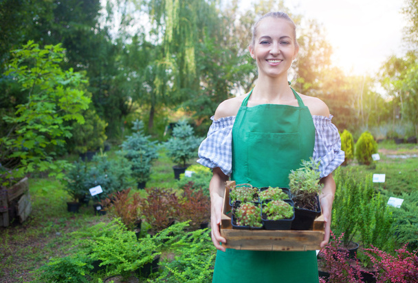 Frau hält Kiste mit Pflanzen in der Hand in Gartencenter - Foto, Bild
