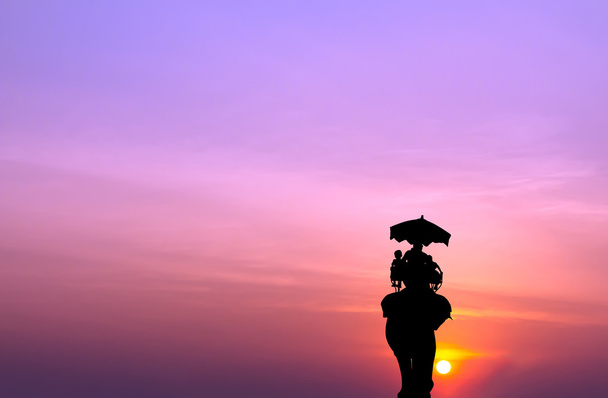 elefante silhouette con turista al tramonto
 - Foto, immagini