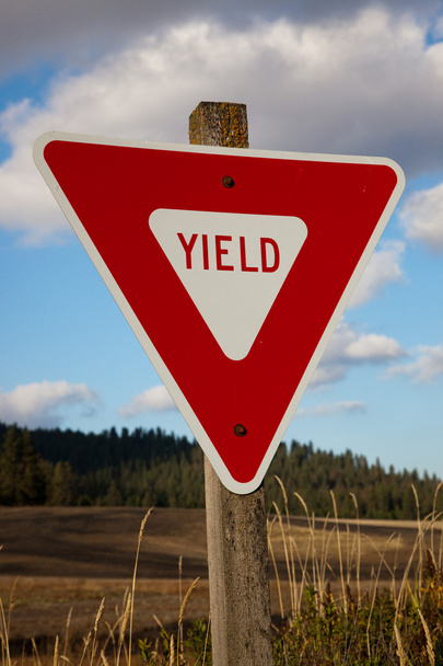 Yield Sign - Photo, Image