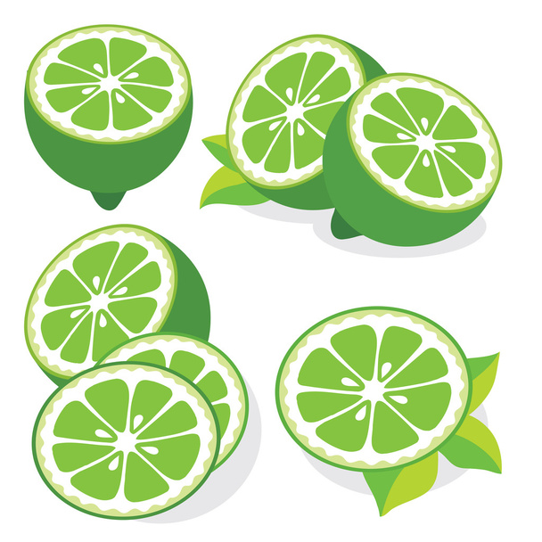Lime vector illustrations - Vector, Image