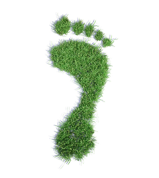 Ecological footprint concept illustration - grass patch footprint - Photo, Image