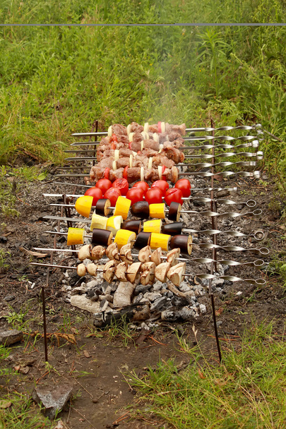 Cooking kebabs and tomatoes on skewers. - Photo, Image