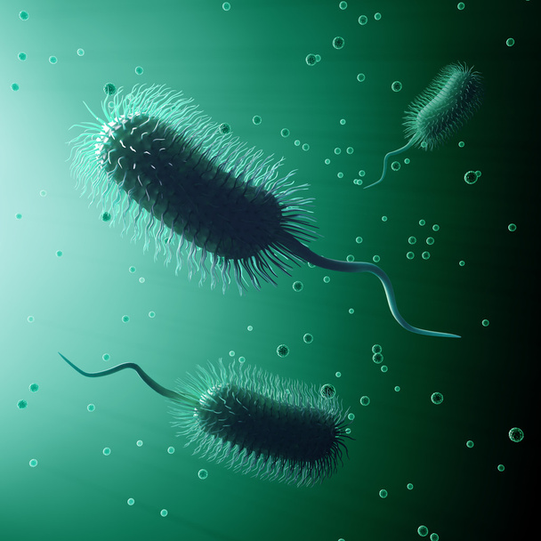 bacteriën illustratie - Foto, afbeelding
