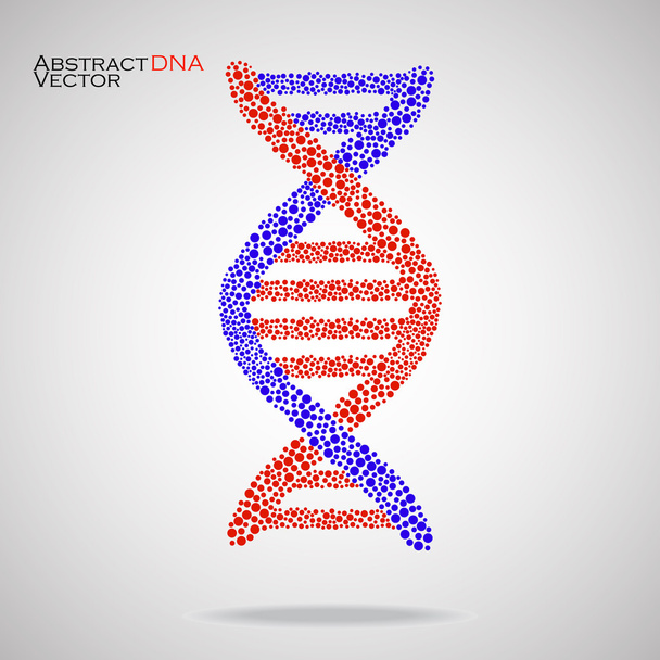 Abstrakti DNA. Värikäs molekyylirakenne. Vektorikuvitus. Eps 10
  - Vektori, kuva