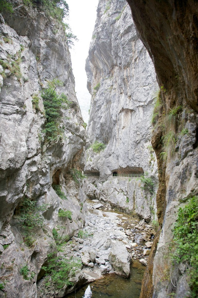 Túnel en Garganta del Río Cares
 - Foto, Imagen