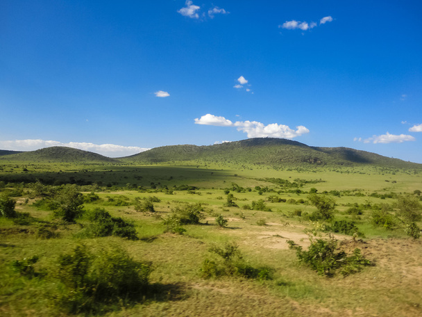 Rezerwa krajowa Maasai Mara w Kenii - Zdjęcie, obraz