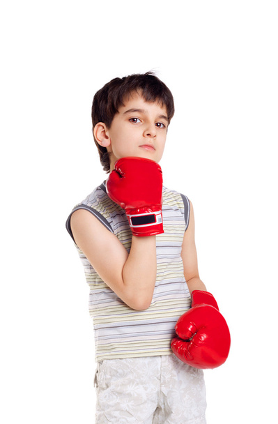 Little boxer - Fotografie, Obrázek