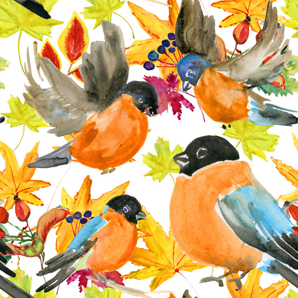 texture with cute birds watercolor - Photo, Image