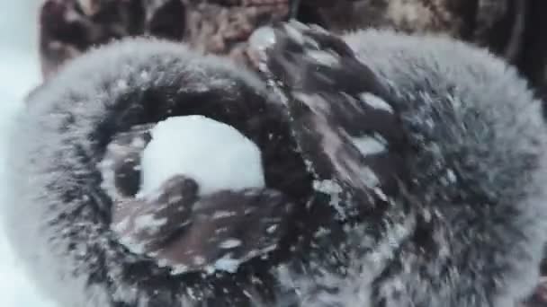 Close up van vrouw met sneeuw - Video