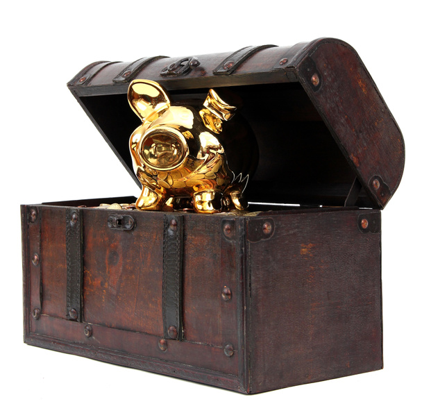 Open chest with piggy bank - Photo, Image