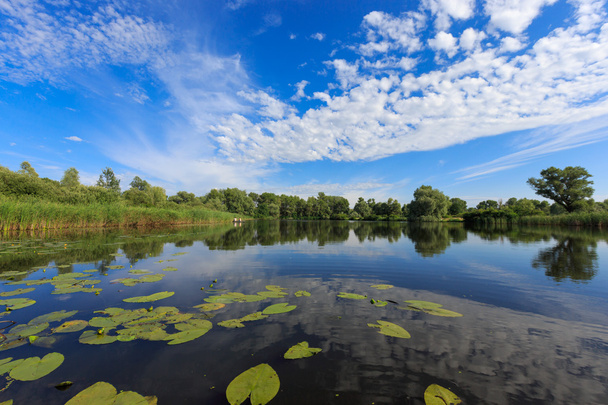 kesämaisema järvellä
 - Valokuva, kuva