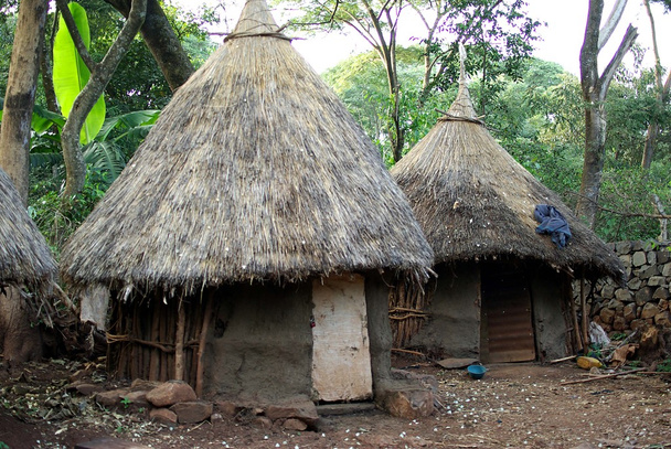 African huts, Ethiopia - Photo, Image