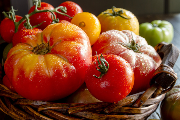 Assortment of Fresh Heirloom Tomatoes - Foto, imagen