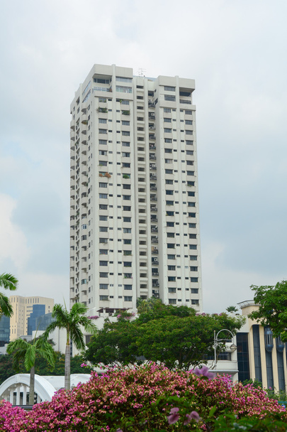 Singapur Merkezi bina yüksek doğmak - Fotoğraf, Görsel