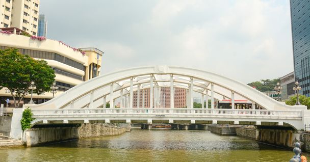 Elgin-silta, Singaporen joen yli
 - Valokuva, kuva