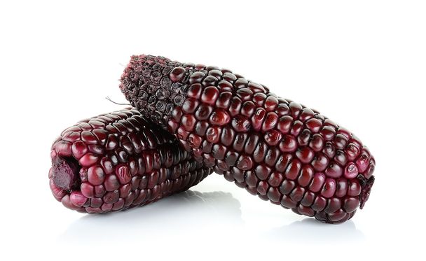 Piros kukorica elszigetelt fehér background - Fotó, kép