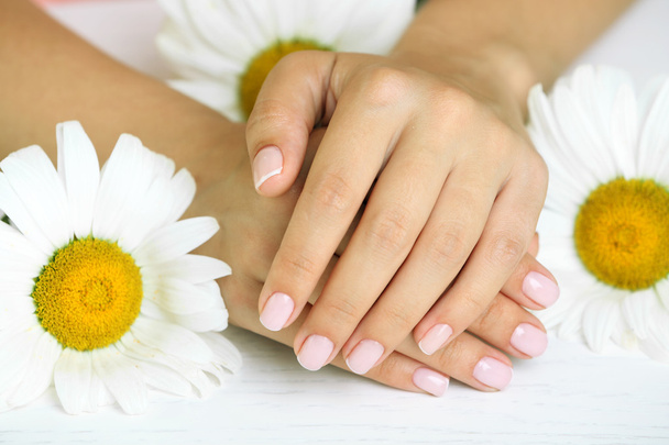 Woman hands with french manicure - Foto, imagen