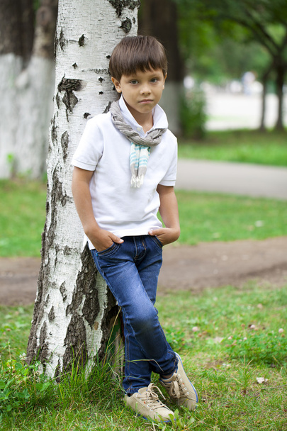 Full-length portrait of a little boy in the summer park - Fotoğraf, Görsel