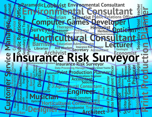 Insurance Risk Surveyor Indicates Position Policies And Surveyin - Photo, Image