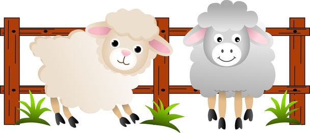 de schapen op de boerderij - Vector, afbeelding