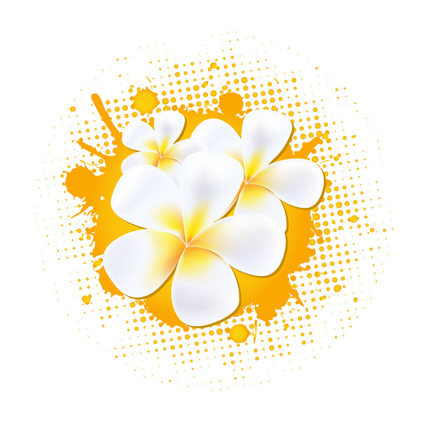 Flower Background With Frangipani - Vector, imagen