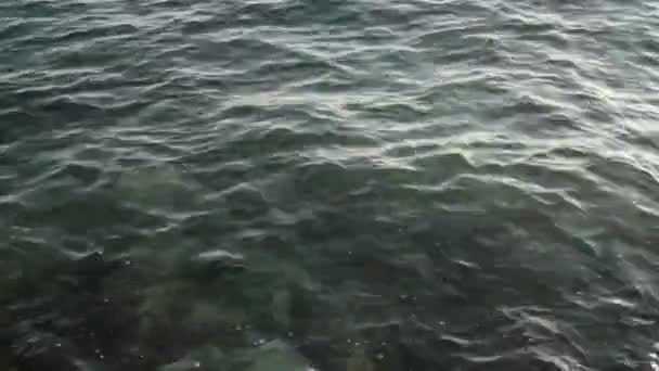 Meereswelle auf felsigem Grund - Filmmaterial, Video