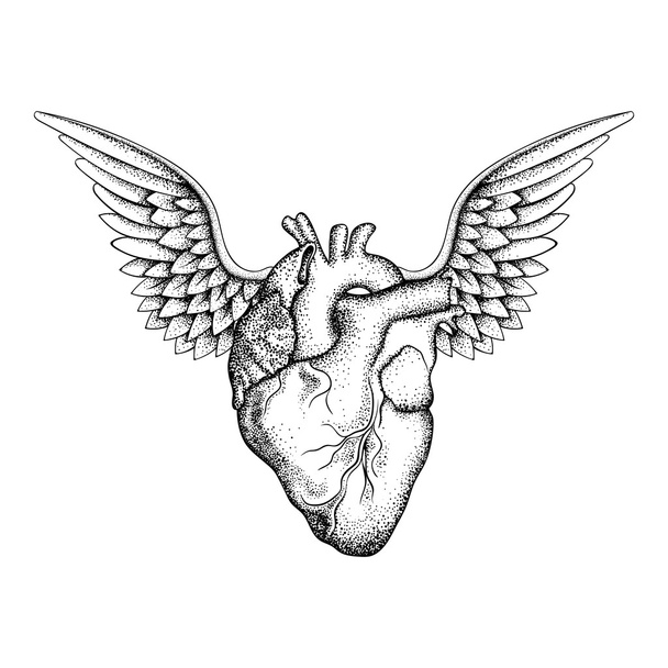 Элегантное сердце с крыльями, черный эскиз для футболки pr
 - Вектор,изображение