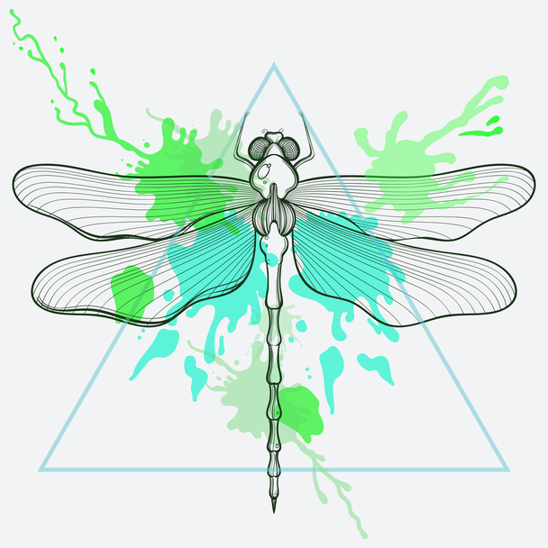 Zentangle stilisierte Drachenfliege im Dreiecksrahmen mit Aquarell  - Vektor, Bild