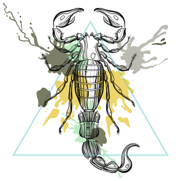 Zentangle stylized Scorpion in triangle frame with watercolor in - Вектор, зображення