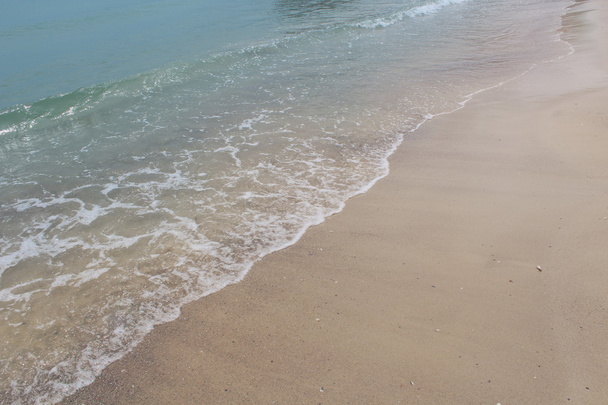 A surf és a homokos tengerpart - Fotó, kép