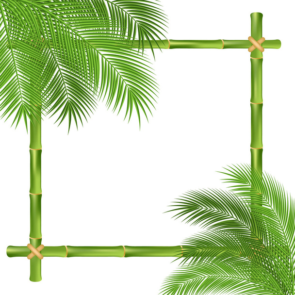 bamboo frame - Vektor, obrázek
